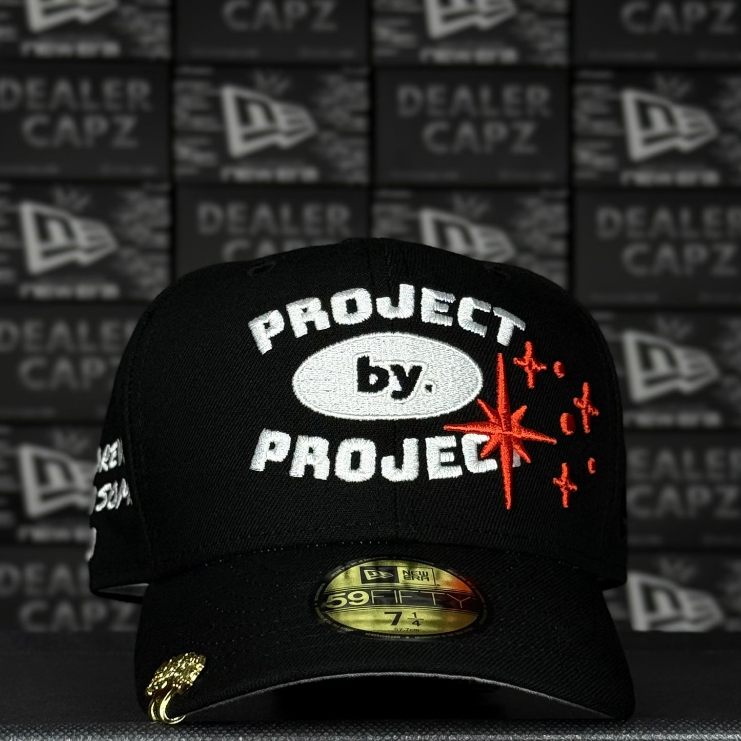 SAVIOR “PROJECT BY PROJECT”