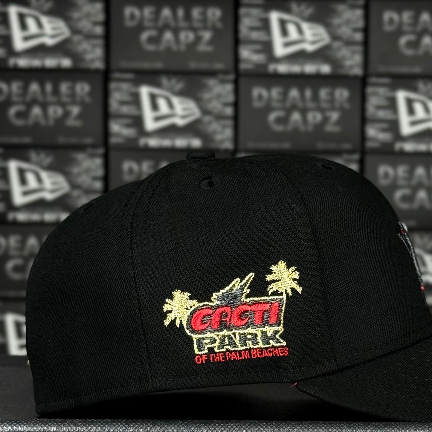 HOUSTON ASTROS “CACTI PARK”