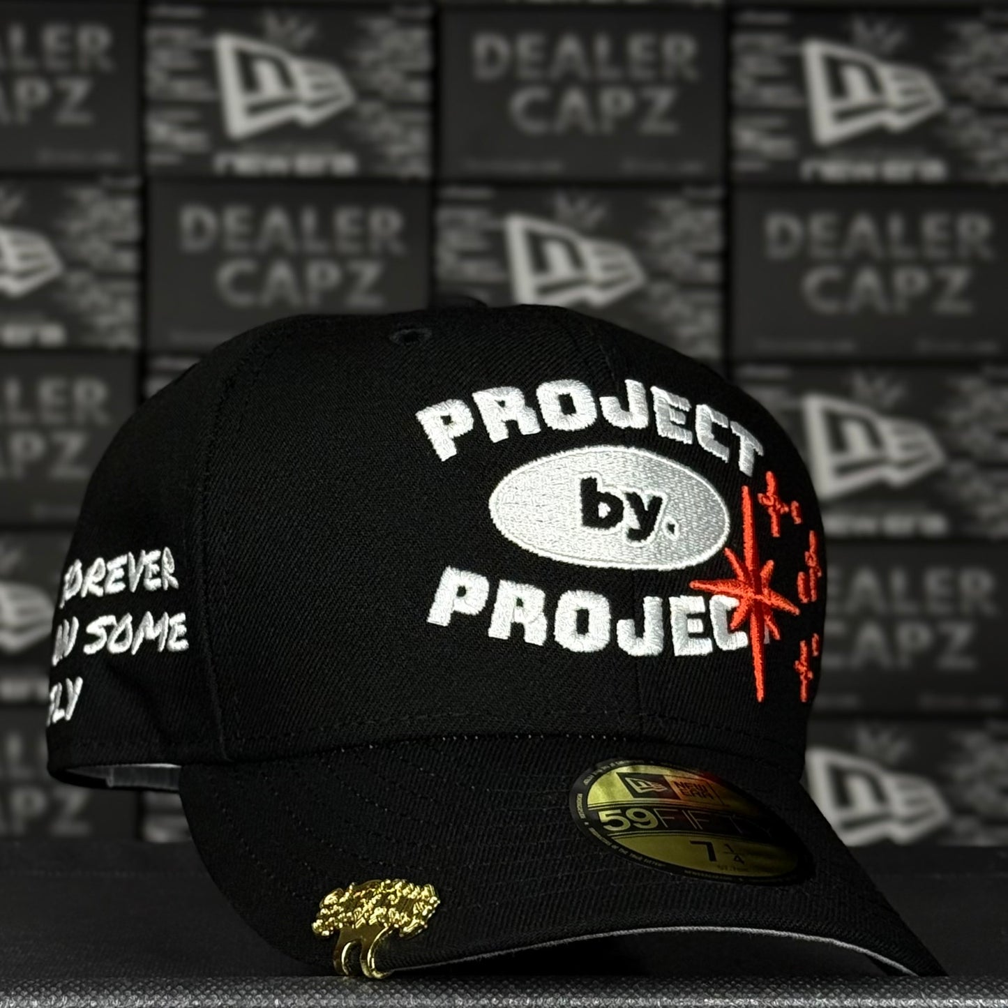 SAVIOR “PROJECT BY PROJECT”