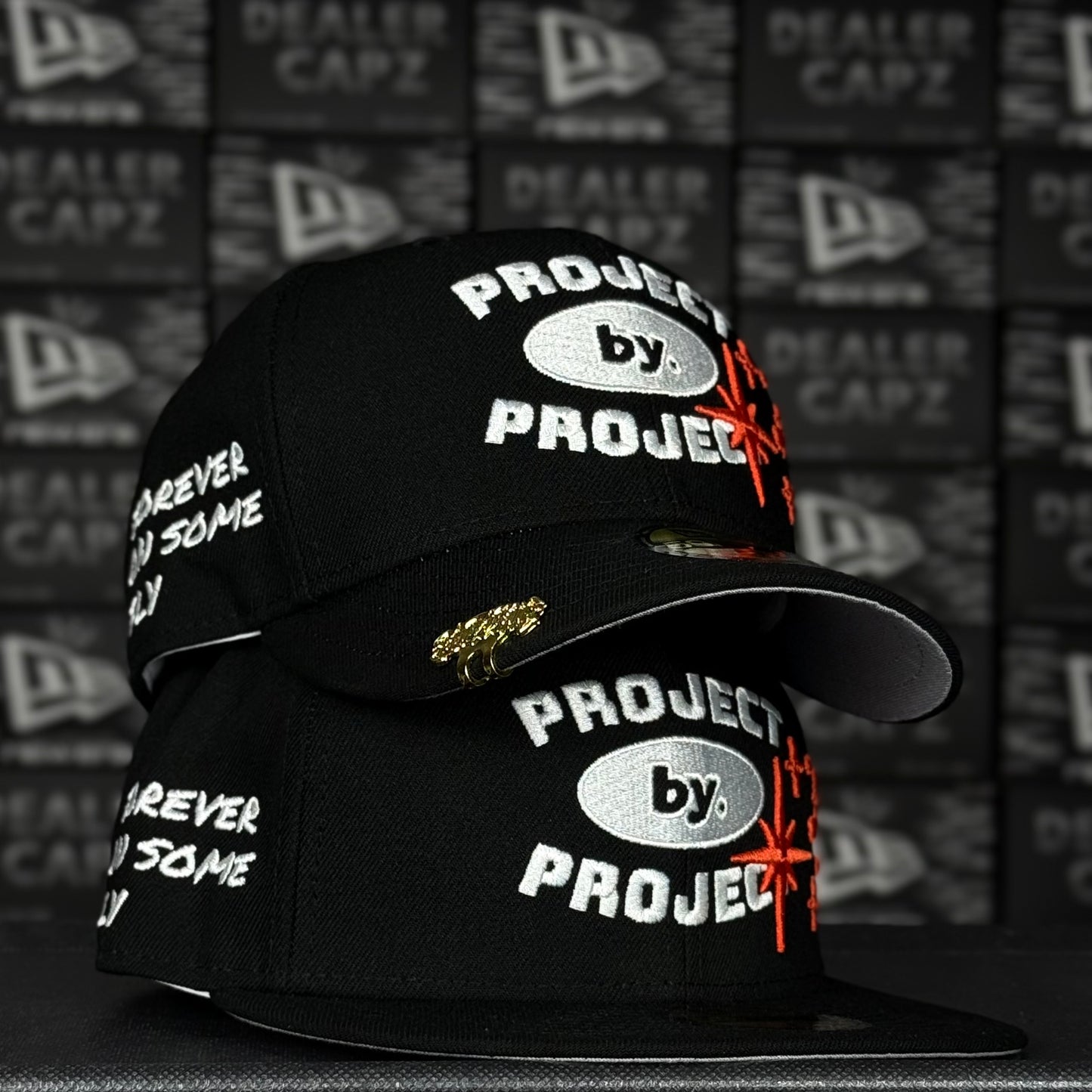 SAVIOR “PROJECT BY PROJECT”
