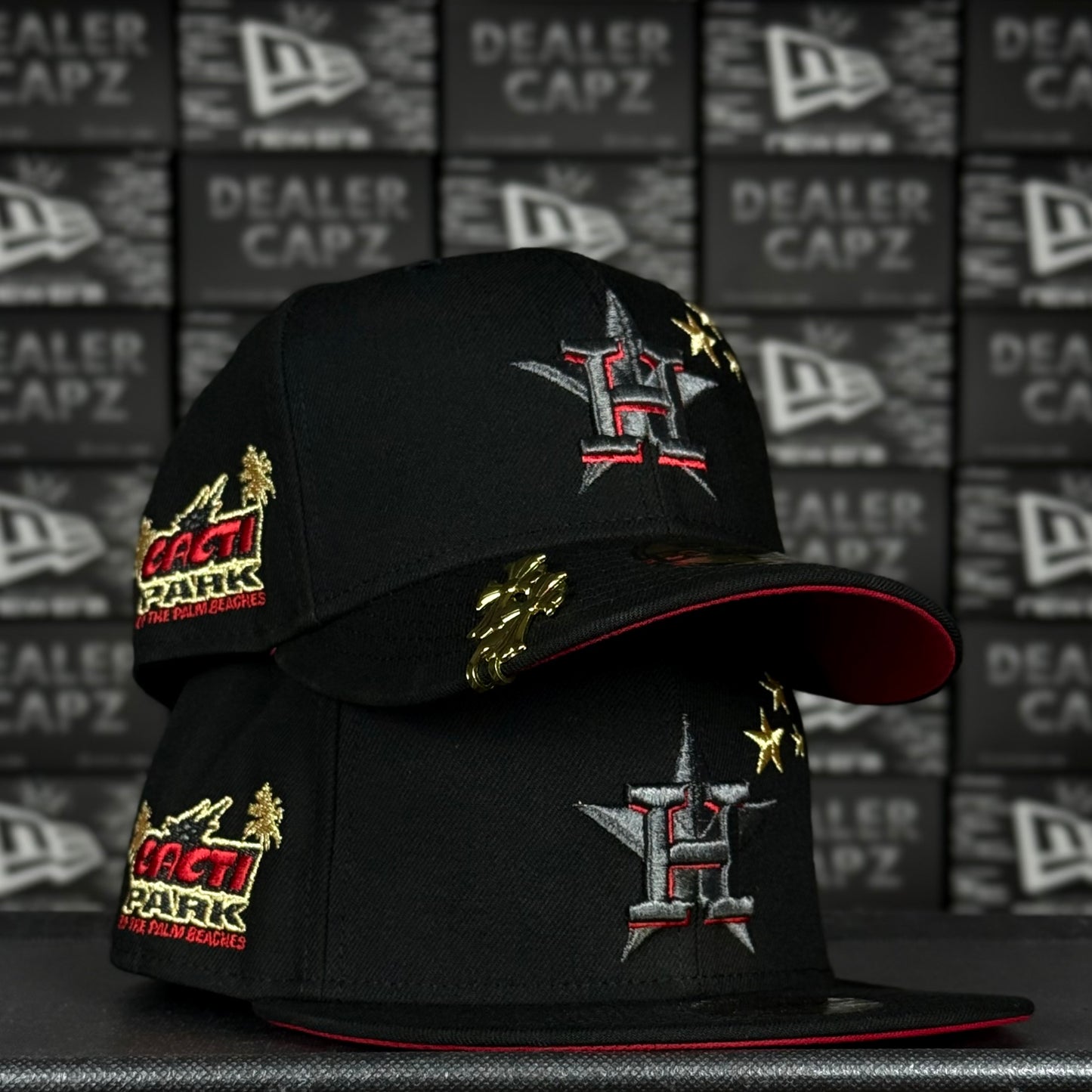 HOUSTON ASTROS “CACTI PARK”