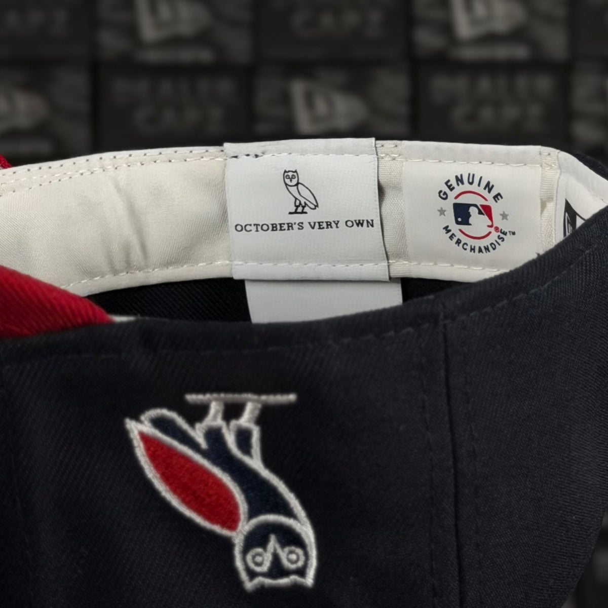 ATLANTA BRAVES x OVO