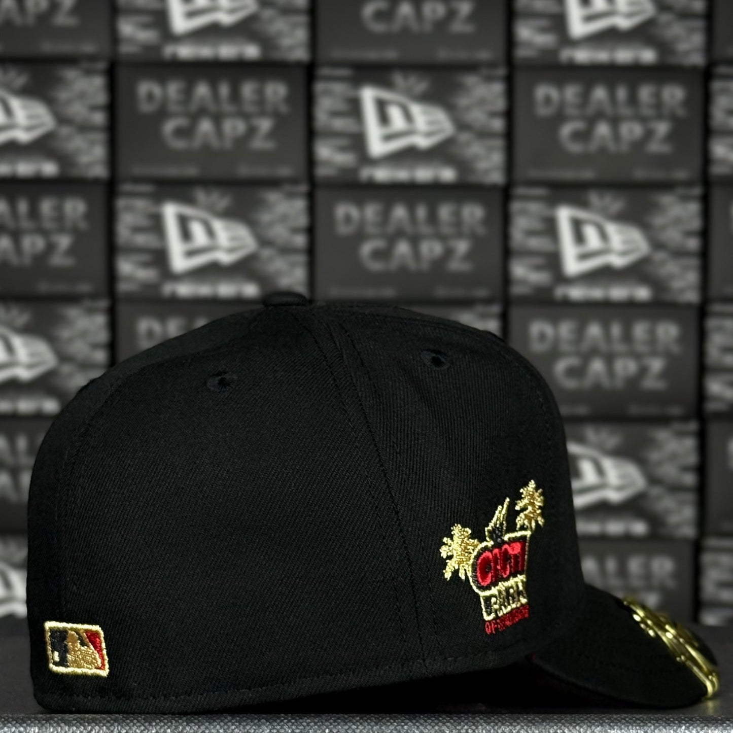 HOUSTON ASTROS “CACTI PARK”